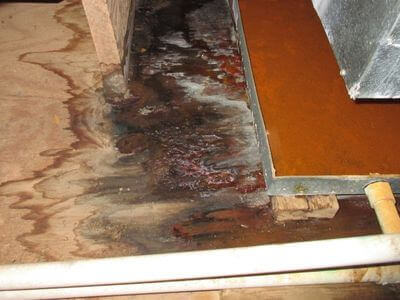 About Elemental Crew - water damage restoration experts in Gainesville, FL